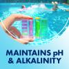 imageARM ampamp HAMMER Clear Balance Swimming Pool Alkalinity pH Maintenance Tablets White 1 Pack 24 Count1Pack 16 Count