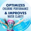 imageARM ampamp HAMMER Clear Balance Swimming Pool Alkalinity pH Maintenance Tablets White 1 Pack 24 Count1Pack 16 Count
