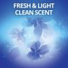 imageArm ampamp Hammer Clean Scentsations inwash Freshness Booster Purifying Waters 24 Ounce