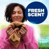 imageArm ampamp Hammer Plus OxiClean Powder Laundry Detergent Fresh Scent 45 Loads 348 Pound Pack of 1  Package May VaryFresh