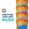 imageArm ampamp Hammer Baking Soda Color Creations Island Green 1 Lb