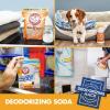 imageArm ampamp Hammer Baking Soda FridgenFreezer Odor Absorber Orange 14 oz Pack of 1214 Ounce Pack of 12