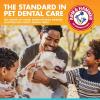 imageArm ampamp Hammer Complete Care Dog Dental Spray 6 Fl Oz  Mint Flavor Dog Dental Spray for Easy Brushless Cleaning  Baking Soda Enhanced Formula for Fresh Breath and Tartar ControlDental Spray  Fresh Breath