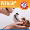 imageArm ampamp Hammer Complete Care Dog Dental Spray 6 Fl Oz  Mint Flavor Dog Dental Spray for Easy Brushless Cleaning  Baking Soda Enhanced Formula for Fresh Breath and Tartar ControlDental Spray  Tartar Control