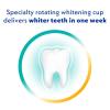 imageSpinbrush Pro Whiten Replacement Heads Soft Bristles For Battery Toothbrush 2 Count Pack of 12 Count Pack of 2