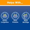imageArm ampamp Hammer Simply Saline Nasal Mist Extra Strength Severe Congestion 16 Ounce