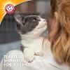 imageArm ampamp Hammer Tearless Kitten Shampoo for CatsNatural Cat Shampoo for Odor Control with Baking Soda 20 Fl Oz Gentle Cleansing Kitten Shampoo in Sweet Almond Scent Pack of 120 Fl Oz Pack of 6