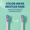 imageSpinbrush Pro Whiten Battery Toothbrush for Adults Medium Bristles Batteries IncludedBlue