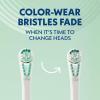 imageSpinbrush Pro Whiten Battery Toothbrush for Adults Medium Bristles Batteries IncludedCoral