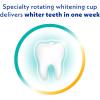 imageSpinbrush Pro Whiten Battery Toothbrush for Adults Medium Bristles Batteries IncludedWhite