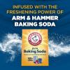 imageARM ampamp HAMMER Clean Scentsations InWash Scent Booster Laundry Scent Booster Purifying Waters scent 45 Oz45 Fl Oz Pack of 1