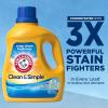 imageARM ampamp HAMMER Clean ampamp Simple 77 Loads Liquid Laundry Detergent 1005 Fl oz