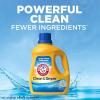 imageARM ampamp HAMMER Clean ampamp Simple 77 Loads Liquid Laundry Detergent 1005 Fl oz