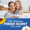 imageARM ampamp HAMMER Plus OxiClean Fresh Scent 77 Loads Liquid Laundry Detergent 1005 Fl ozFresh Scent