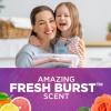 imageARM ampamp HAMMER Plus OxiClean Odor Blasters Fresh Burst 77 Loads Liquid Laundry Detergent 1005 Fl oz