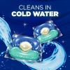imageArm ampamp Hammer Clean Burst 5in1 Laundry Detergent Power Paks High Efficieny HE 42 CountClean Burst