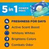 imageArm ampamp Hammer Clean Burst 5in1 Laundry Detergent Power Paks High Efficieny HE 42 CountClean Burst