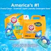 imageArm ampamp Hammer Clean Burst 5in1 Laundry Detergent Power Paks High Efficieny HE 42 CountClean Burst