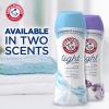 imageArm ampamp Hammer Clean ampamp Simple inwash Scent Booster Crisp Clean 24ozPack of 424 Ounce Pack of 2