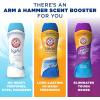 imageArm ampamp Hammer Odor Blasters InWash Scent Booster  Fresh Botanical 24oz Pack of 424 Ounce Pack of 1