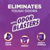 imageArm ampamp Hammer Odor Blasters InWash Scent Booster  Fresh Botanical 24oz Pack of 424 Ounce Pack of 4