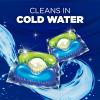 imageArm ampamp Hammer Plus OxiClean 5in1 Laundry Detergent Power Paks 42 Count Packaging may varyFresh Scent