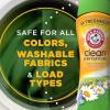 imageARM ampamp HAMMER Clean Scentsations InWash Scent Booster Laundry Scent Booster Clean Meadow scent 24 Oz24 Ounce Pack of 1