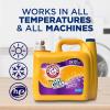 imageARM ampamp HAMMER Plus OxiClean Odor Blasters Fresh Burst 128 Loads Liquid Laundry Detergent 1665 Fl ozLiquid Laundry Detergent
