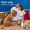imageARM ampamp HAMMER Plus OxiClean with Odor Blasters Concentrated Laundry Detergent 5in1 Laundry Stain Remover Fresh Burst Detergent Power Paks 42 Count BagFresh Burst