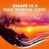 imageArm ampamp Hammer Clean Scentsations inwash Scent Booster  Maui Sunset 24 Oz 4 Count24 Ounce Pack of 4