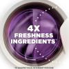 imageArm ampamp Hammer Light InWash Scent Booster Lavender 24oz Pack of 424 Count Pack of 4