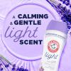 imageArm ampamp Hammer Light InWash Scent Booster Lavender 24oz Pack of 424 Count Pack of 4