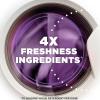 imageArm ampamp Hammer Light InWash Scent Booster Lavender 24oz Pack of 424 Ounce Pack of 1