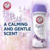 imageArm ampamp Hammer Light InWash Scent Booster Lavender 24oz Pack of 424 Ounce Pack of 2