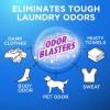 imageArm ampamp Hammer Plus OxiClean Odor Blasters Fresh Burst 75 Loads Liquid Laundry Detergent 1181 Fl oz