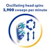 imageSpinbrush Pro Clean BatteryPowered Electric Toothbrush Value Pack Soft Bristles Batteries Included 1 Brush ampamp 1 Replacement Head