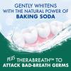 imageARM ampamp HAMMER Toothpaste Plus TheraBreath Breath Fresheners Invigorating ICY Mint Flavor Whitening Anticavity Fluoride Toothpaste for Bad Breath 55 Oz Pack of 2Fresheners