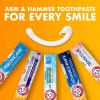 imageARM ampamp HAMMER Toothpaste Plus TheraBreath Breath Fresheners Invigorating ICY Mint Flavor Whitening Anticavity Fluoride Toothpaste for Bad Breath 55 Oz Pack of 2Fresheners