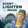 imageARM ampamp HAMMER Clean Scentsations InWash Scent Booster Cool Woods scent 24 Oz