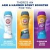 imageARM ampamp HAMMER Clean Scentsations InWash Scent Booster Cool Woods scent 24 Oz
