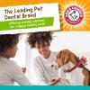 imageArm ampamp Hammer for Pets Smoothies Dental Treats for Dogs with Baking Soda and Calcium Treat Chews Help Fight Bad Breath Plaque ampamp Tartar Without Brushing Mint Blueberry 8 Pcs Packaging May VaryApple