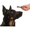 imageArm ampamp Hammer for Pets Nubbies Dental Treats for Dogs  Dental Chews Fight Bad Breath Plaque ampamp Tartar Without Brushing  Peanut Butter Flavor Value Bucket 53 PcsPeanut Butter
