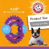 imageArm ampamp Hammer for Pets Nubbies Orion Dog Dental Toy Best Dog Chew Toy for Moderate Chewers  Dog Dental Toy Helps Reduce Plaque ampamp Tartar Without Brushing  Mint Flavor  24 PackPurple  Blue
