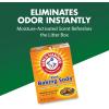 imageARM ampamp HAMMER Cat Litter Deodorizer Double Duty 30 oz 6 Pack12 Pound Pack of 1
