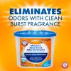 imageArm ampamp Hammer Essentials Disposable Moisture Absorber and Odor Eliminator Tub Fragrance Free 1 lb Attracts and Traps Excess Moisture Ideal Closet Dehumidifier Pack of 3Clean Burst