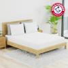 imageArm ampamp Hammer Eco Performance Zippered Mattress Protector with Tencel QueenTwin