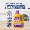 imageArm ampamp Hammer Plus OxiClean Odor Blasters Fresh Burst 160 Loads Liquid Laundry Detergent 208 Fl oz1005 Fl Oz Pack of 2