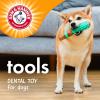 image:imageArm amp Hammer for Pets Chew Tools Collection Wood Blend Hammer Chew Toy for Dogs  Compressed Wood Dog Chew Toys with Baking Soda Safer amp Durable Alternative to Chewing SticksPaintbrush