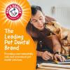 image:imageArm amp Hammer for Pets Chew Tools Collection Wood Blend Hammer Chew Toy for Dogs  Compressed Wood Dog Chew Toys with Baking Soda Safer amp Durable Alternative to Chewing SticksPaintbrush