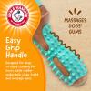 image:imageArm amp Hammer for Pets Chew Tools Collection Wood Blend Hammer Chew Toy for Dogs  Compressed Wood Dog Chew Toys with Baking Soda Safer amp Durable Alternative to Chewing SticksPaintbrush